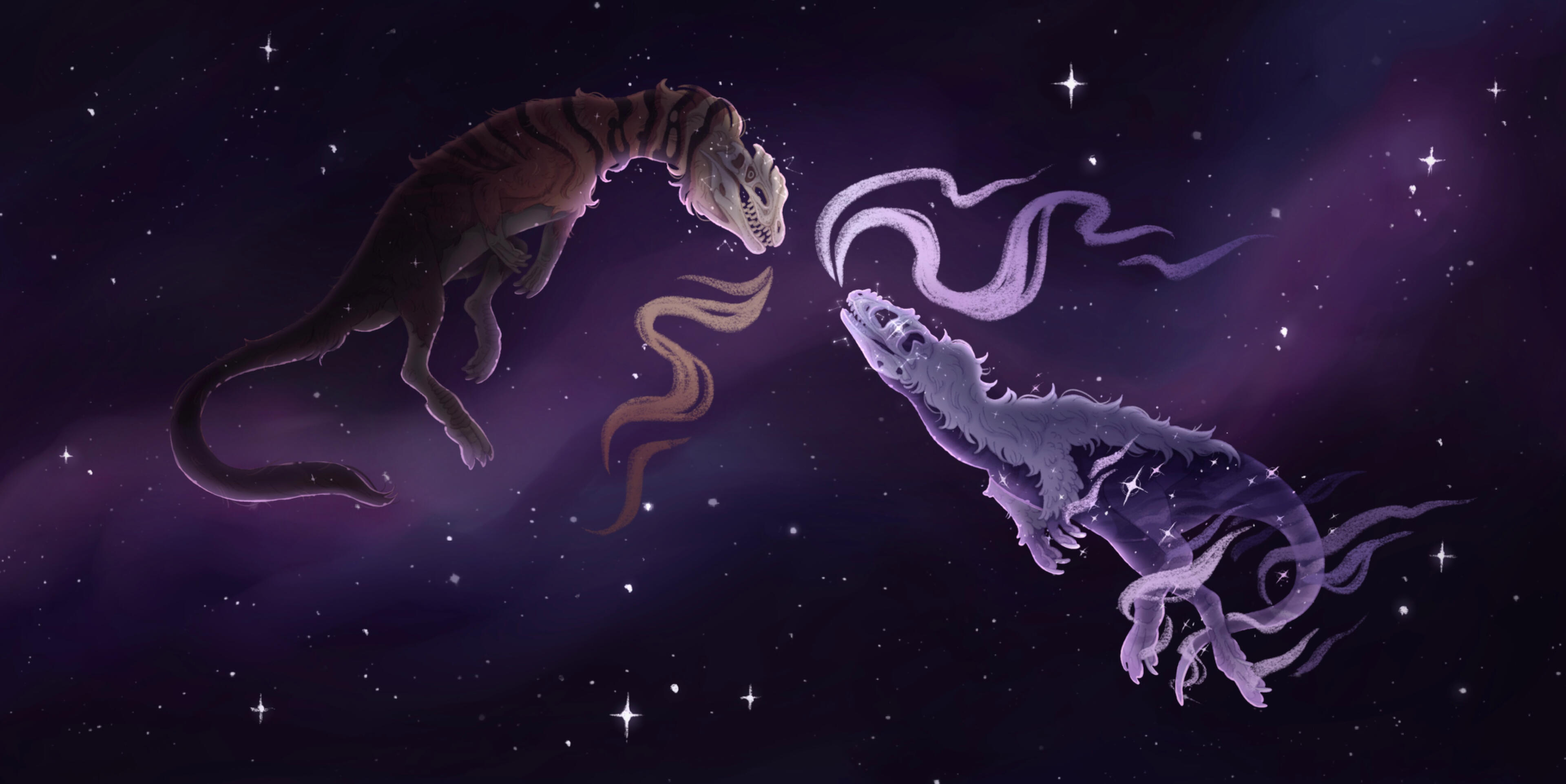 THE COSMOS